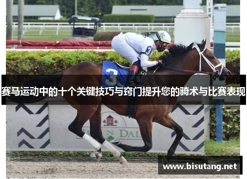 赛马运动中的十个关键技巧与窍门提升您的骑术与比赛表现